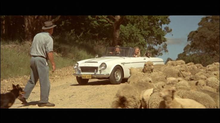 Century 1974: The Cars That Ate Paris – Random Thoughts
