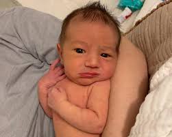 Emmalora (@tinybrownhouse) • Instagram photos and videos