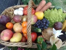 Les Paniers De Fruits Legumes Primeur Local Tournefeuille Fruits Legumes Epicerie Coquillages