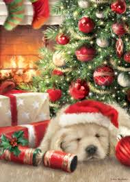 Pin By Kelly Bellomo On Holidays Christmas Pictures Christmas Humor Christmas Animals
