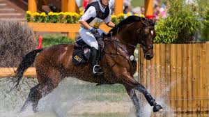 We did not find results for: Chio In Aachen Achterbahnfahrt Fur Chio Reiterinnen Werth Und Krajewski Augsburger Allgemeine