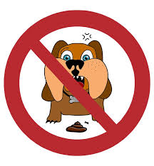Vzrušující nové prostředí může zvíře vylekat, takže uteče a hned tak se nevrátí. Pes Gassi Chuze Psi Obrazek Zdarma Na Pixabay