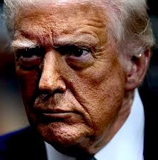 Liz Cheney/Adam Kinzinger Against Trump