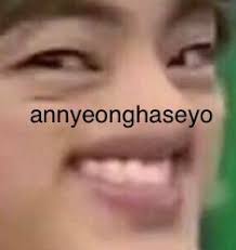 Hello Every Body Annyeoghaseyo Kpop Fans I Dont Have Anything To Said See U Bts Memes Hilarious Bts Face Kpop Memes Bts