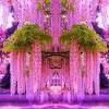 You can add softness, color and design interest with printed cushions and a tablecloth. Https Encrypted Tbn0 Gstatic Com Images Q Tbn And9gct 0clxmfkhfygilq2ry3ujscilkfflyj4soyxn9meoojuslg9l Usqp Cau