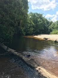 56 acres in Poplarville, MS, 39470