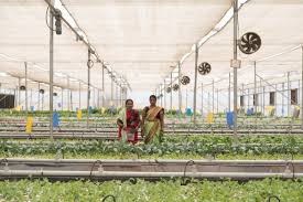 One Of India S Biggest Aquaponics Farms Employs 80 Women Agritecture