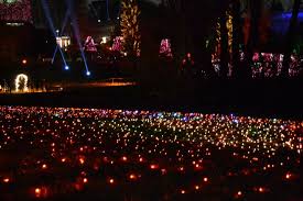 Botanischer garten und botanisches museum berlin) is a botanical garden in the german capital city of berlin, with an area of 43 hectares and around 22,000 different plant species. Christmas Garden Berlin Thema