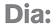 Dia Art Foundation logo