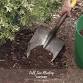 FALL TREE PLANTING LECTURE event image