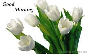 Have a beautiful and productive day. 162 Lovely Good Morning Wishes With Flowers