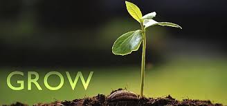 The Truth Media Blog Grow Up