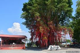 Jikalau pergi pantai timur, terengganu adalah negeri dan lokasi pilihan jika ingin bercuti dan melancong di sana. Pantai Redang Sekinchan Tempat Best Untuk Kutip Remis Xplorasi Destinasi