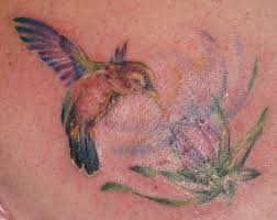 We did not find results for: Real Hummingbird Tattoo In Colour Tattooimages Biz