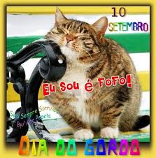 Resultado de imagem para dia do gordo