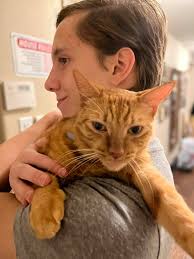 My lovely boys!! ❤️❤️