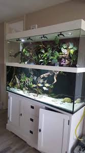 Freshwater Tank Devos Aquarium Freshwater Aquarium Aquarium Fish