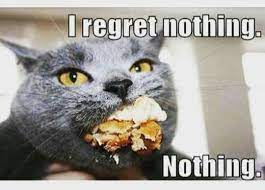 Pin By Blondie9738 On Animals Funny Cat Pictures Funny Cats Crazy Cats