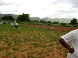 Image result for images of agriculture land
