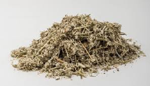 Image result for Aerva leucura