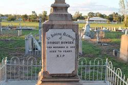 Bridget McQueenie Bowden (1831-1908)