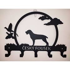 Image result for český fousek stavba těla