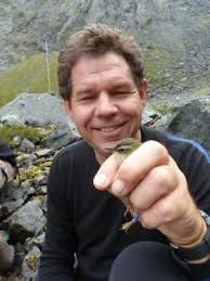 Alpine predator impacts little understood