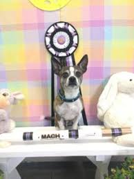 Competition Update Fall 2019