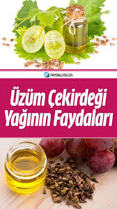 Uzum Cekirdegi Yaginin Faydalari Nelerdir Faydali Bilgin Uzum Saglikli Gida