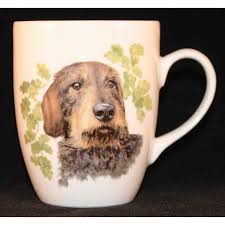 Image result for jezevčík drsnosrstý