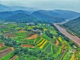 cultural protection brings fortune for yunnan villagers craft yunnan express embroidery works bamboo crafts idyllic
