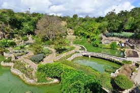 Japanese Tea Garden In San Antonio An Enchanting Attraction In Brackenridge Park Go Guides