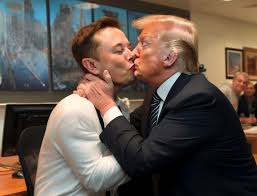 images?q=tbn:ANd9GcTktI8S-xWw6QdpZfnXhj8