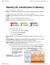 Psych101 Study Guide Fall 2013 Final Short Term Memory Richard Shiffrin Sensory Memory