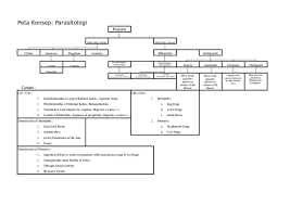 Begitu juga pada peta konsep ini. Xls Peta Konsep Fms Natasha Bastiaan Academia Edu