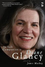 The Salt Companion to Diane Glancy (Paperback)