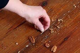 How To Refinish Wood Floors Without Sanding Pretty Handy Girl Refinishing Hardwood Floors Refinish Wood Floors Diy Hanging Shelves
