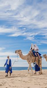 Los cabos, baja california sur. Camel Rides In Cabo San Lucas Book Your Tour Cabo Adventures