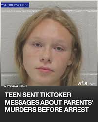 A Georgia teen told a true crime TikToker that her parents' murder case  could be a “big hit” with her audience. She is now charged in connection  with their deaths. https://bit.ly/4eHQdtm