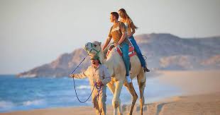 Cabo surf hotel is part of balderrama hotel collection a mexican owned and operated hotel company with properties located in copper canyon, mexico. Cabo San Lucas Camel Riding Safari A Unique Excursion