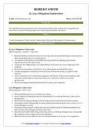 Mitigation is when the party suffering a loss in an insurance claim takes reasonable actions to prevent additional losses. Loss Mitigation Underwriter Resume Samples Qwikresume