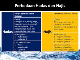 Anjing najis, dan dibasuh bejana yang dijilati anjing, tujuh kali karena najisnya. Bab Viii Ppt Download