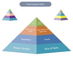 A food pyramid is a representation of the optimal number of servings to be eaten each day from each of the basic food groups. Food Pyramid Chart Free Food Pyramid Chart Templates