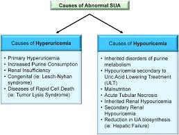 Image result for Hyperuricemia