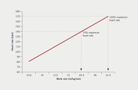 Cardiorespiratory Fitness Oxygen Pulse And Heart Rate