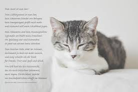 Dein Lieblingssessel Ist Nun Leer Trauergedicht Anubis Tierbestattung Katzen Fakten Spruch Katze Haustier Erinnerung