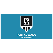 The harbour, sheltered by a long sand spit to the west. Port Adelaide Power Flag Pole Flag Quality Outdoor Flag