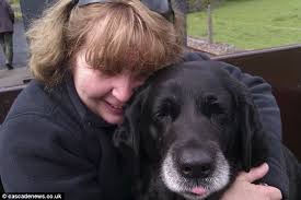 Testicular mesothelioma affects the lining of the testes and is extremely rare. The Dog Killed By Asbestos Pet Dies From Rare Lung Cancer Despite 20 000 In Treatment After Sniffing Toxic Substance As He Rummaged In Woodland Daily Mail Online