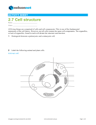 The animal cell has 13 different types of organelles¹ with specialized functions. Cell Structure