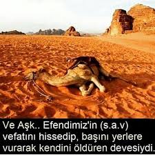 Ibrahim Eser Adli Kullanicinin Kuran Ayet Hadis Dua Panosundaki Pin Dualar Resimler Islam